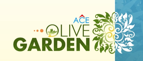 Ace Olive Garden